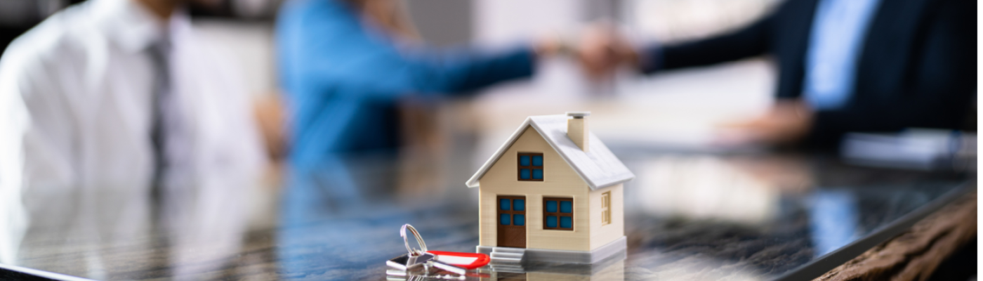Descubra as melhores soluções de crédito com a Maxfinance Energia